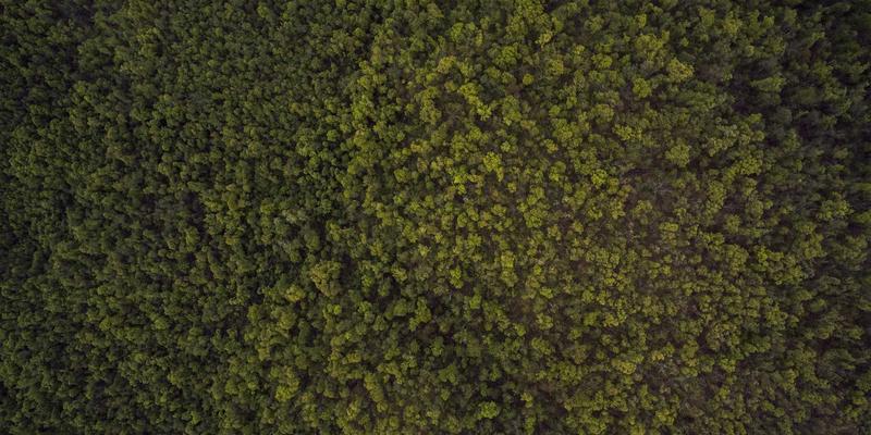 KW180驱动下的网络革命：基于意图的网络(IBN)如何重塑网络安全与Web开发运维