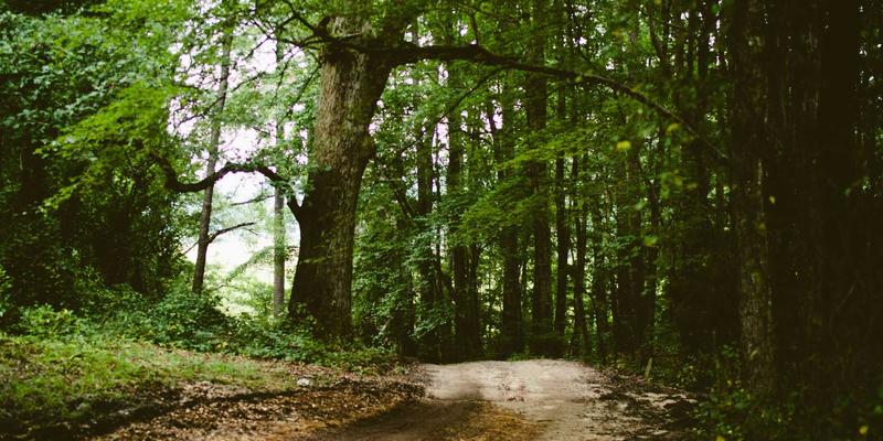 SD-WAN技术实战指南：企业广域网优化与多云连接的核心KW180解决方案