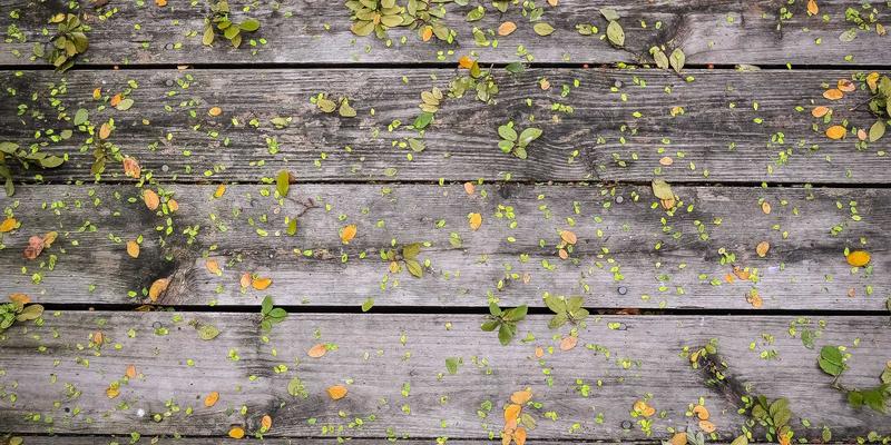 从Web开发到光通信：解析400G+光模块中CPO与LPO技术的功耗革命