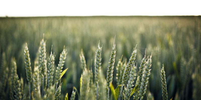 从Web开发视角解析5G核心网切片：KW180编程教程中的网络隔离实战启示