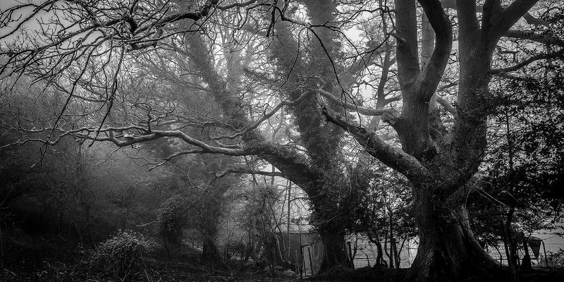 从入门到进阶:网络技术资源分享与网络安全防护全攻略