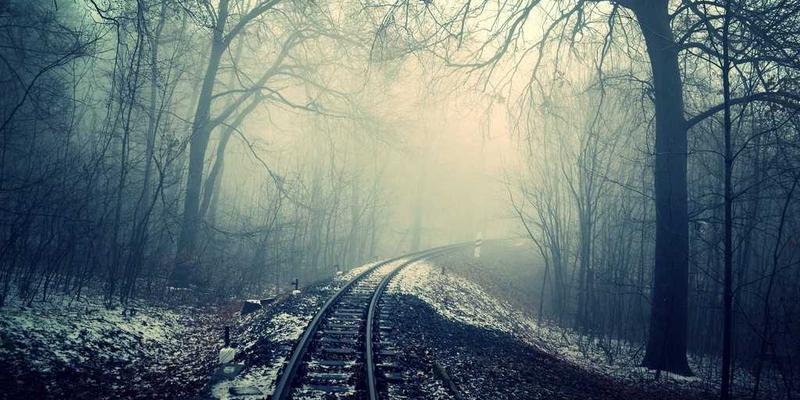 从编程教程到网络安全：三大网络技术案例的深度剖析与启示