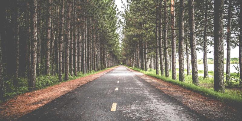 基于意图的网络（IBN）：重塑网络技术与Web开发的未来架构