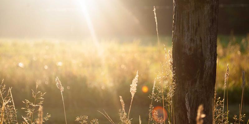 容器网络接口（CNI）深入剖析：实现Kubernetes多集群网络互通与Web开发安全实践