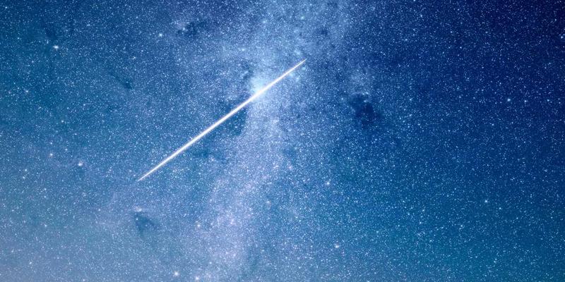 开放网络与白盒交换机：解耦硬件与软件，重塑数据中心生态 | IT知识与Web开发资源分享