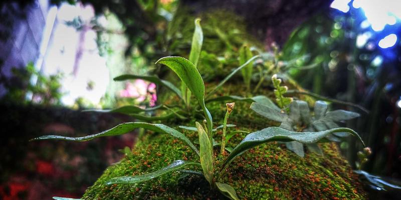 时间敏感网络(TSN)：工业自动化实时通信的网络安全与编程技术保障