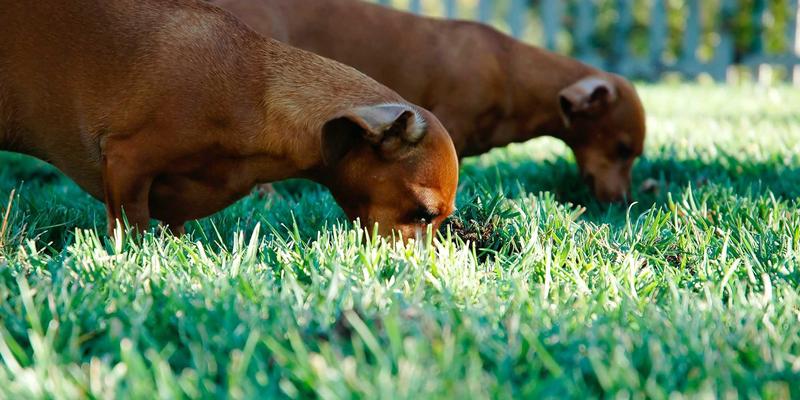 网络安全新基石：时间敏感网络（TSN）如何重塑工业互联网与车载网络