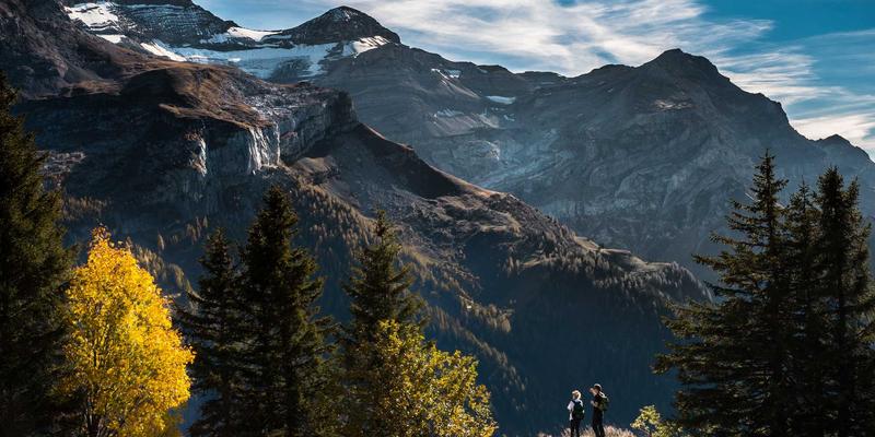 网络技术18：掌握IT知识核心，筑牢网络安全防线与资源分享指南