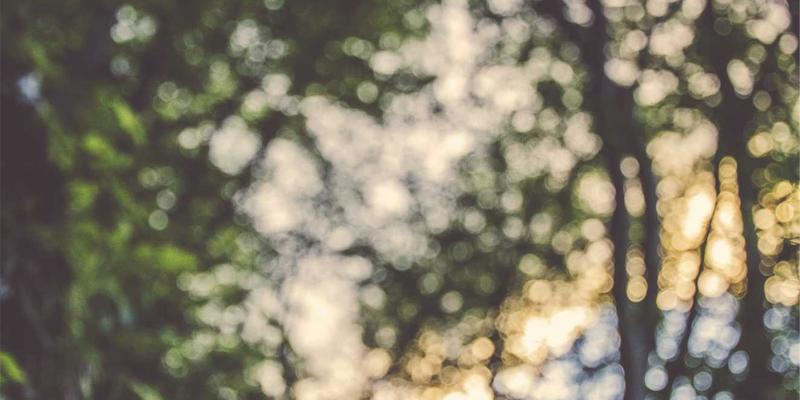 网络技术56与KW180：构筑下一代网络安全防御体系的核心架构