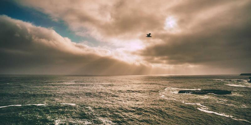 网络技术进阶指南：从编程教程到实战资源的系统化学习路径